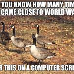 Geese | DO YOU KNOW HOW MANY TIMES WE CAME CLOSE TO WORLD WAR 3; OVER THIS ON A COMPUTER SCREEN? | image tagged in geese | made w/ Imgflip meme maker