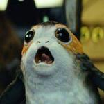 Porg meme