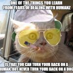 Catnip is a helluva drug.. | ONE OF THE THINGS YOU LEARN FROM YEARS OF DEALING WITH HUMANZ; IS THAT YOU CAN TURN YOUR BACK ON A HUMAN, BUT NEVER TURN YOUR BACK ON A DOG. | image tagged in fear and loathing kitty,cat meme,cat vs dog meme,funny cat memes,crazy humanz meme | made w/ Imgflip meme maker