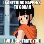 Chichi | IF ANYTHING HAPPENS TO GOHAN; I WILL CASTRATE YOU! | image tagged in chichi | made w/ Imgflip meme maker