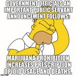 Homer Simpson D'oh! | GOVERNMENT OFFICIALS
AN IMPORTANT PUBLIC SERVANT ANNOUNCEMENT FOLLOWS:; MARIJUANA PROHIBITION INCREASES PRESCRIPTION OPIOID USAGE AND DEATHS. | image tagged in homer simpson d'oh | made w/ Imgflip meme maker