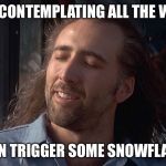 Let's Trigger Some Snowflakes  | ME...CONTEMPLATING ALL THE WAYS; I CAN TRIGGER SOME SNOWFLAKES | image tagged in nicholas cage wind in hair | made w/ Imgflip meme maker