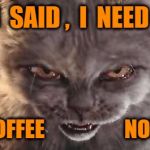Happy Halloween Cat memes | I  SAID ,  I  NEED , COFFEE                   NOW | image tagged in happy halloween cat memes | made w/ Imgflip meme maker