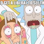 Rick and Morty Scam | TRYING TO GET A LIBERAL TO SEE THE TRUTH. | image tagged in rick and morty scam | made w/ Imgflip meme maker