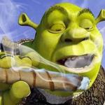 Shrek Joint