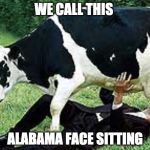 Udderly Wrong | WE CALL THIS; ALABAMA FACE SITTING | image tagged in udderly wrong | made w/ Imgflip meme maker