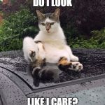 undignified cat on car | DO I LOOK; LIKE I CARE? | image tagged in undignified cat on car | made w/ Imgflip meme maker