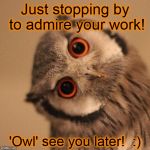 inquisitve owl | Just stopping by to admire your work! 'Owl' see you later!  :) | image tagged in inquisitve owl | made w/ Imgflip meme maker