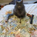 get rich cat