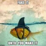 The best way to meme. | FAKE  IT; UNTIL  YOU  MAKE  IT | image tagged in goldfish shark,memes,goldfish | made w/ Imgflip meme maker