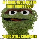 Oscar The Grouch | IF I GAVE YOU A KITTEN THAT DIDN'T POOP; YOU'D STILL COMPLAIN | image tagged in oscar the grouch | made w/ Imgflip meme maker