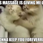 Kitty massage | THIS MASSAGE IS GIVING ME LIFE! I'M GONNA KEEP YOU FOREVERRRRR.... | image tagged in kitty massage | made w/ Imgflip meme maker