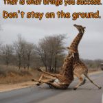 Falling Giraffe | If you fall, get up. Don't stay on the ground. That is what brings you success. | image tagged in falling giraffe | made w/ Imgflip meme maker