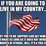 US Flag | IF YOU ARE GOING TO LIVE IN MY COUNTRY... I EXPECT YOU TO DO, SUPPORT AND SAY WHATEVER YOU WANT AS LONG AS IT DOES NOT INFRINGE ON THE RIGHTS OF OTHERS...HELL, IT'S A FREE COUNTRY | image tagged in us flag | made w/ Imgflip meme maker
