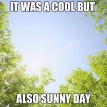 sunshine trees | IT WAS A COOL BUT; ALSO SUNNY DAY | image tagged in sunshine trees | made w/ Imgflip meme maker