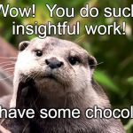 Positive Otter | Wow!  You do such insightful work! Go have some chocolate! | image tagged in positive otter | made w/ Imgflip meme maker