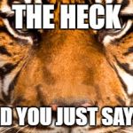 What was that? | THE HECK; DID YOU JUST SAY!? | image tagged in eye of the tiger | made w/ Imgflip meme maker