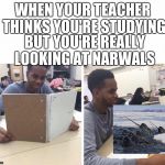 When your teacher thinks your studying | WHEN YOUR TEACHER THINKS YOU'RE STUDYING; BUT YOU'RE REALLY LOOKING AT NARWALS | image tagged in when your teacher thinks your studying | made w/ Imgflip meme maker
