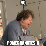 No Pomegranates | NO; POMEGRANATES!!! | image tagged in no pomegranates | made w/ Imgflip meme maker