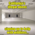 California's illegal aliens helping with wildfires | California's illegal aliens; signing up to help with wildfires... | image tagged in empty room,california,illegal aliens,wildfires | made w/ Imgflip meme maker