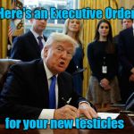 Trump signs E.O. for your new testicles | Here's an Executive Order; for your new testicles | image tagged in trump signing document,testicles | made w/ Imgflip meme maker