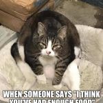 not enough food | WHEN SOMEONE SAYS "I THINK YOU'VE HAD ENOUGH FOOD" | image tagged in not enough food,memes,funny,cats | made w/ Imgflip meme maker