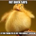 Dook | FAT DUCK SAYS; IF YOU THINK PO IS FAT, YOU HAVEN’T SEEN ME | image tagged in dook | made w/ Imgflip meme maker