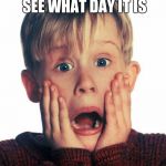 OH NUUUUUUUU ITS FRIDAY THE 13TH!!!!!!!!!!!!!!!!!! | WHEN YOU LOOK TO SEE WHAT DAY IT IS; FRIDAY THE 13TH | image tagged in home alone scream | made w/ Imgflip meme maker