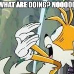 Tails | WHAT ARE DOING? NOOOOO | image tagged in tails | made w/ Imgflip meme maker
