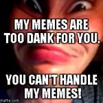 potion seller | MY MEMES ARE TOO DANK FOR YOU. YOU CAN'T HANDLE MY MEMES! | image tagged in potion seller | made w/ Imgflip meme maker