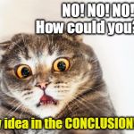 horrified cat | NO! NO! NO!!  How could you?!?!?! A new idea in the CONCLUSION!!?!??! | image tagged in horrified cat | made w/ Imgflip meme maker