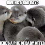 Pile of Otters | HAVING A BAD DAY? HERE'S A PILE OF BABY OTTERS | image tagged in pile of otters,memes,cute,having a bad day,baby animals,cheer up | made w/ Imgflip meme maker