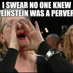 Meryl Streep  | I SWEAR NO ONE KNEW WEINSTEIN WAS A PERVERT! | image tagged in meryl streep | made w/ Imgflip meme maker