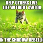Every time I smile God Kills a Kitten | HELP OTHERS LIVE LIFE WITHOUT AWTOK JOIN THE SHADOW REBELLION | image tagged in every time i smile god kills a kitten | made w/ Imgflip meme maker