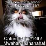 Scary looking devil cat | You know what's scarier than Friday the 13th? Caturday the 14th! 
Mwahahahahahaha! | image tagged in scary looking devil cat | made w/ Imgflip meme maker