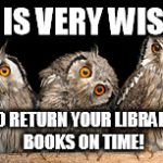 Library Owls | IT IS VERY WISE... TO RETURN YOUR LIBRARY BOOKS ON TIME! | image tagged in owls | made w/ Imgflip meme maker
