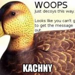 cicada duck | KACHNY | image tagged in cicada duck | made w/ Imgflip meme maker