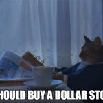 i should cat | I SHOULD BUY A DOLLAR STORE | image tagged in i should cat | made w/ Imgflip meme maker