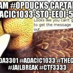 cicada duck | I AM #OPDUCKS CAPTAIN ADACIC1033-STO-EEOI-570; #CICADA3301 #ADACIC1033 #THEGAME23 #JAILBREAK #CTF3333 | image tagged in cicada duck | made w/ Imgflip meme maker