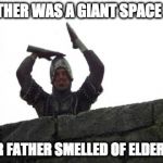 Your mother was a giant space hamster, and your father smelled of elderberries! | YOUR MOTHER WAS A GIANT SPACE HAMSTER; AND YOUR FATHER SMELLED OF ELDERBERRIES! | image tagged in monty python  hamster,spelljammer,giant space hamster | made w/ Imgflip meme maker