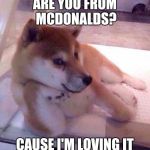 Flirting Doge | ARE YOU FROM MCDONALDS? CAUSE I'M LOVING IT | image tagged in flirting doge | made w/ Imgflip meme maker