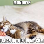 Sleeping cat | MONDAYS; SHALL BE AN OPTION ON MY COMMAND | image tagged in sleeping cat | made w/ Imgflip meme maker