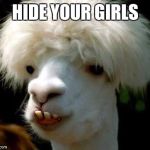 Dumbass | HIDE YOUR GIRLS | image tagged in dumbass | made w/ Imgflip meme maker