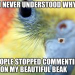 cockatiel | I NEVER UNDERSTOOD WHY; PEOPLE STOPPED COMMENTING ON MY BEAUTIFUL BEAK | image tagged in cockatiel | made w/ Imgflip meme maker