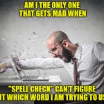 angry | AM I THE ONLY ONE THAT GETS MAD WHEN; "SPELL CHECK" CAN'T FIGURE OUT WHICH WORD I AM TRYING TO USE! | image tagged in angry | made w/ Imgflip meme maker