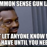 common sense | COMMON SENSE GUN LAW; DON'T LET ANYONE KNOW WHAT YOU HAVE UNTIL YOU NEED IT. | image tagged in common sense | made w/ Imgflip meme maker