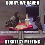 Pigeon job interview | SORRY, WE HAVE A; STRATEGY MEETING | image tagged in pigeon job interview | made w/ Imgflip meme maker