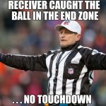 The NFL is going the WWE route , bad calls just for controversy | RECEIVER CAUGHT THE BALL IN THE END ZONE; . . . NO TOUCHDOWN | image tagged in fallacy referee ed hochuli,call center,sidious error,public,news | made w/ Imgflip meme maker