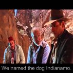Indiana Jones - We Named The Dog | We named the dog Indianamo. | image tagged in indiana jones - we named the dog | made w/ Imgflip meme maker