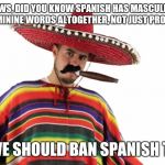 Mexican sterotype | SJWS, DID YOU KNOW SPANISH HAS MASCULINE AND FEMININE WORDS ALTOGETHER, NOT JUST PRONOUNS? SO WE SHOULD BAN SPANISH TOO!! | image tagged in mexican sterotype | made w/ Imgflip meme maker